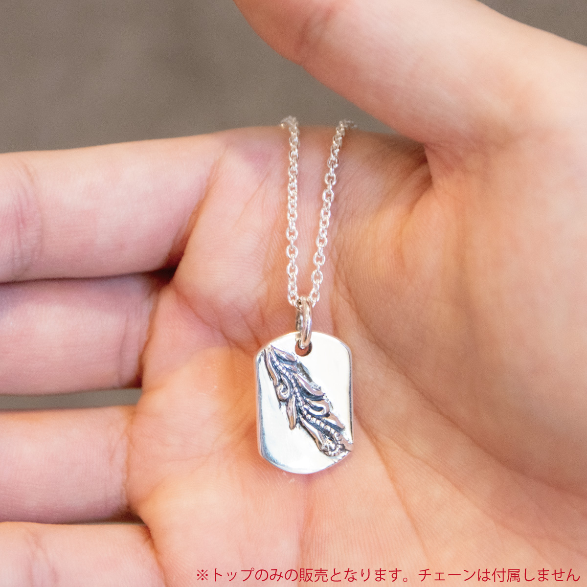 ペンダントトップ ネックレストップのみ メンズ レディース シルバー