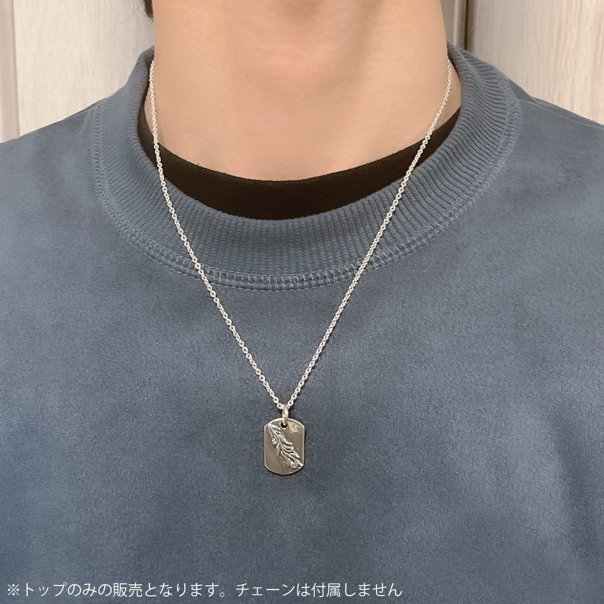 ペンダントトップ ネックレストップのみ メンズ レディース シルバー