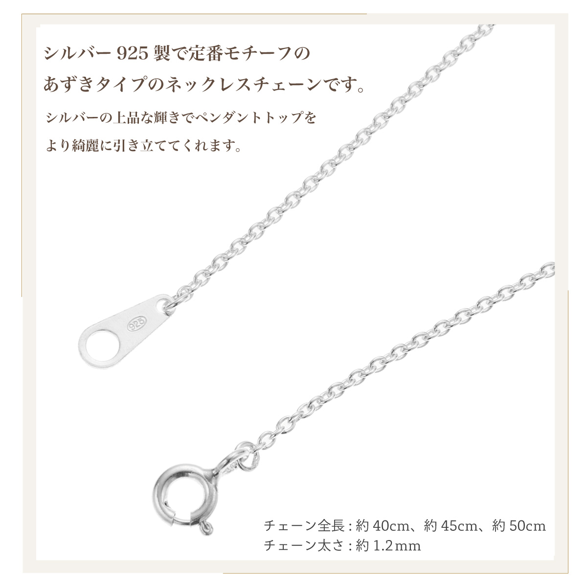 ネックレス ペンダント レディース メンズ シルバー925 コイン 硬貨