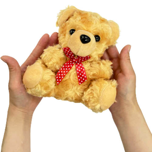 ぬいぐるみ くま ベア クマ ふわふわ もこもこ 可愛い リボン タグ