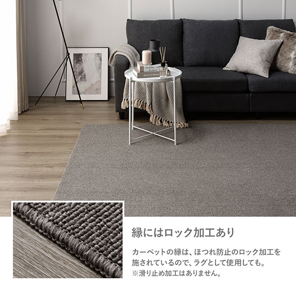 ラグ カーペット 江戸間6帖 約261×352cm 防炎 抗菌 防臭 フリー