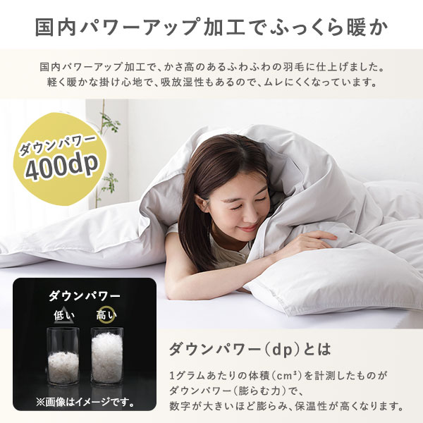 羽毛布団 掛け布団 シングル ブルー ペイズリー柄 シルバーグース