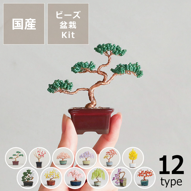 ネジッテ BONSAIキット