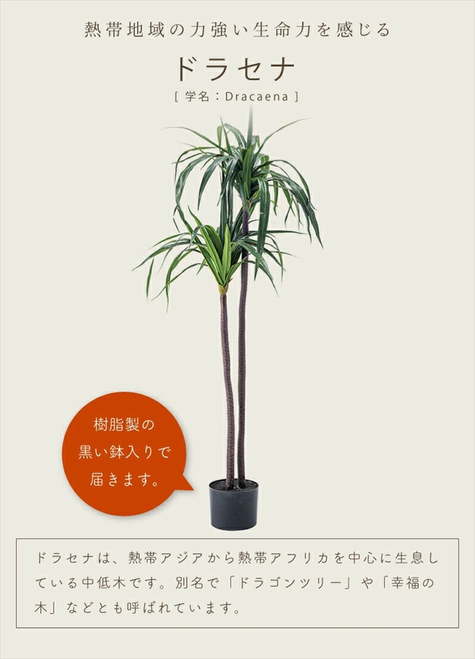 フェイクグリーン 観葉植物 人工観葉植物 ドラセナ 高さ140cm 鉢付き