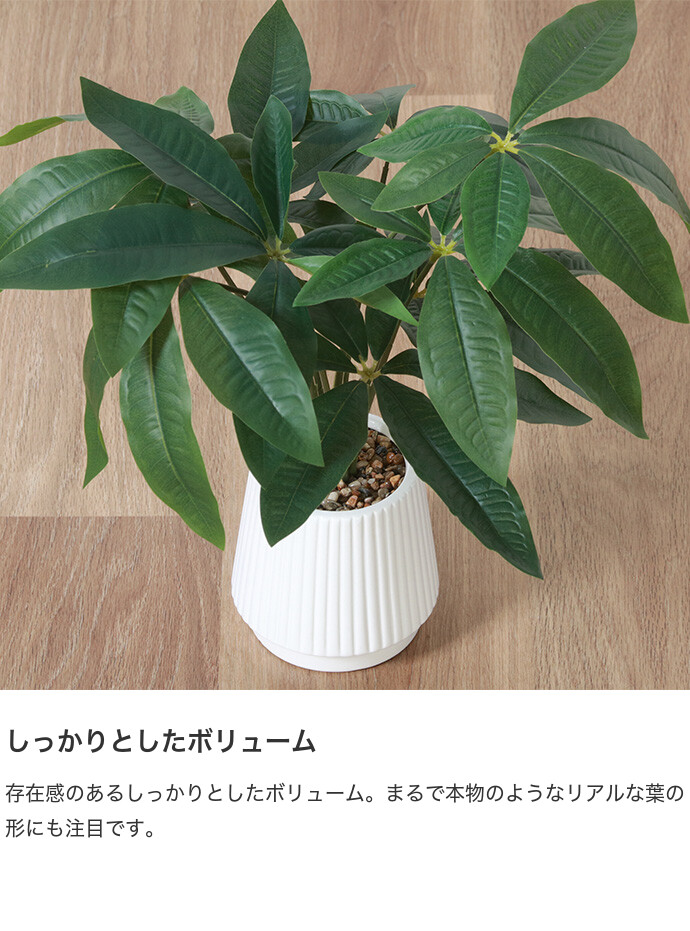 観葉植物 雑貨 インテリア フェイクグリーン パキラ インテリア