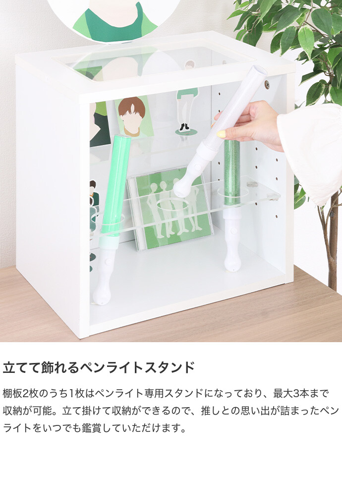 収納 カラーボックス ボックス収納 コレクションボックス グッズ