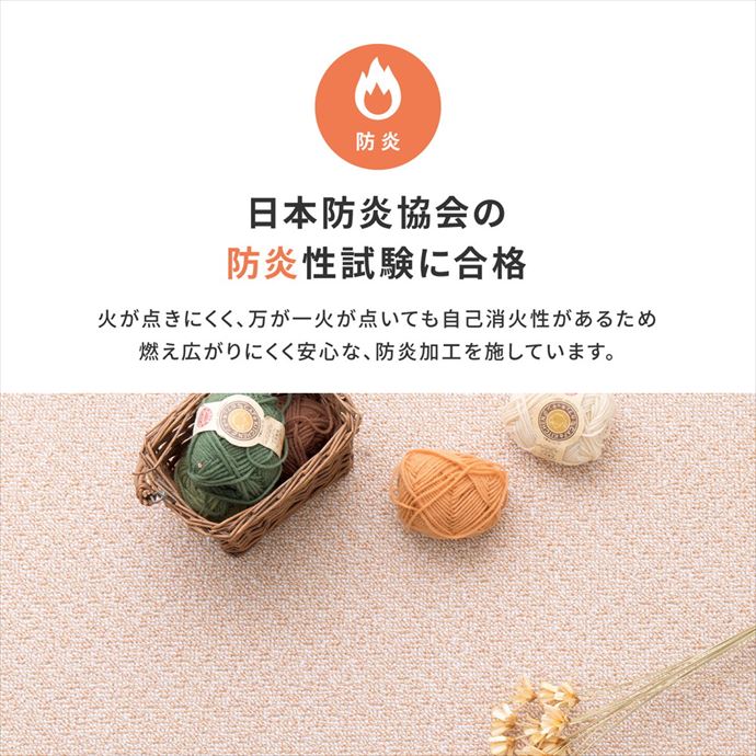 ラグ 江戸間6帖 畳 抗菌 防臭 防炎加工 ダニ 撥水 はっ水 防音 子供