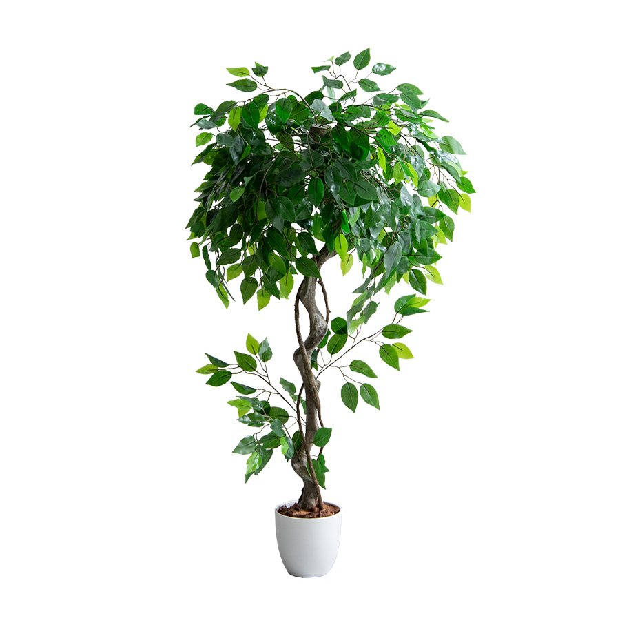 Nature ナチュレ 観葉植物 ベンジャミン フェイクグリーン 人工