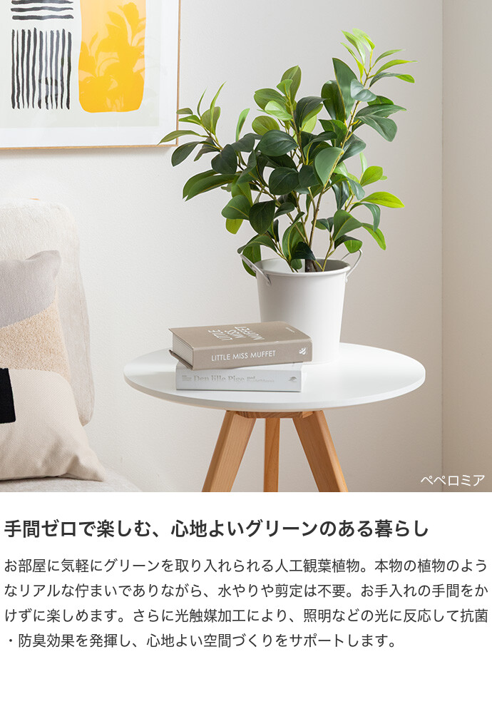 フェイクグリーン ペペロミア 卓上 光触媒 観葉植物 室内 人工 造花