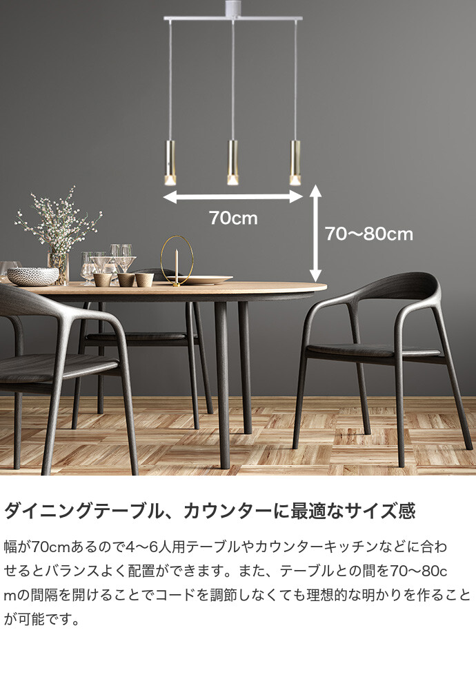 楽天市場】コイントップ ネックレス 24金 ペンダントヘッド 葛飾