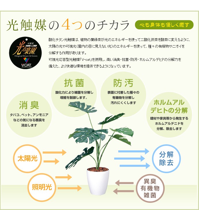 観葉植物 光触媒 造花 パキラ グリーン 人工植物 消臭 抗菌 防菌 ホルムアルデヒド 植物 人工 タバコ ペット アートフラワー オフィス  プレゼント ギフト :g46004:インテリアショップ・イーナ - 通販 - Yahoo!ショッピング