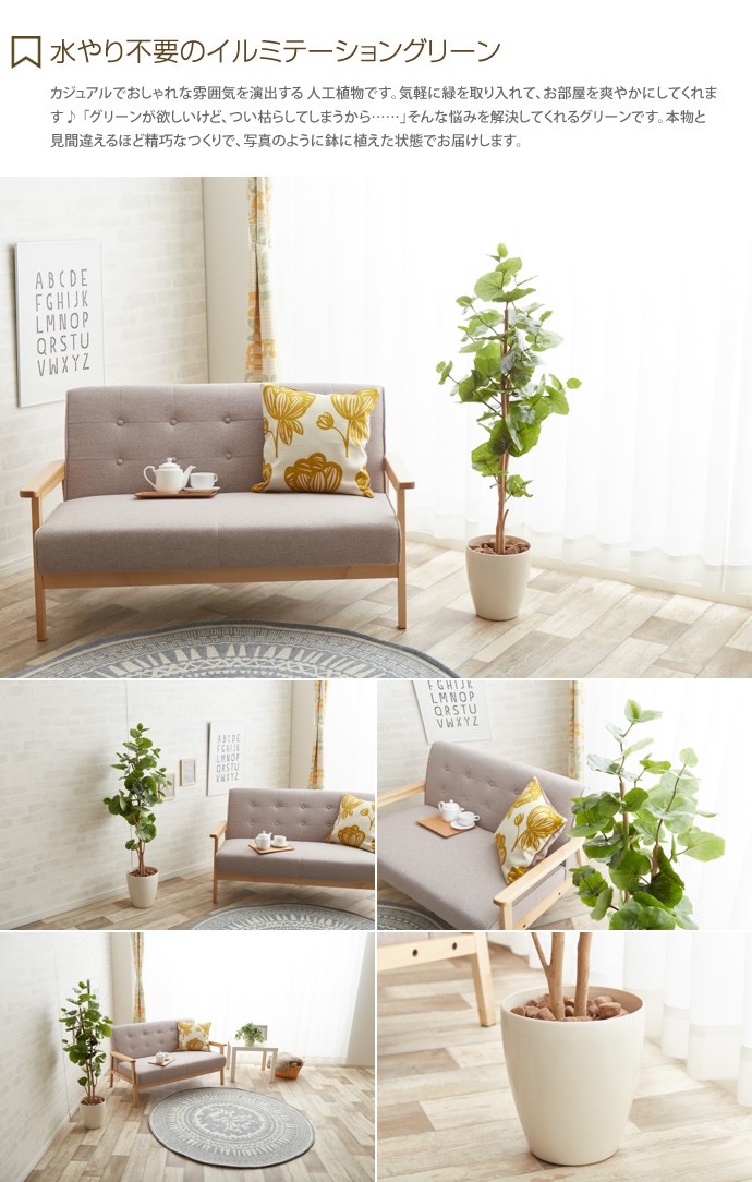 観葉植物 シーグレープ sea grape 室内 イミテーショングリーン : 家具