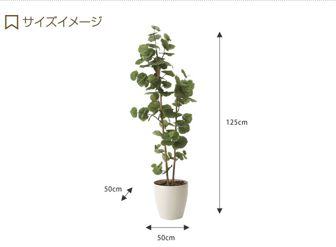 観葉植物 シーグレープ sea grape 室内 イミテーショングリーン : 家具