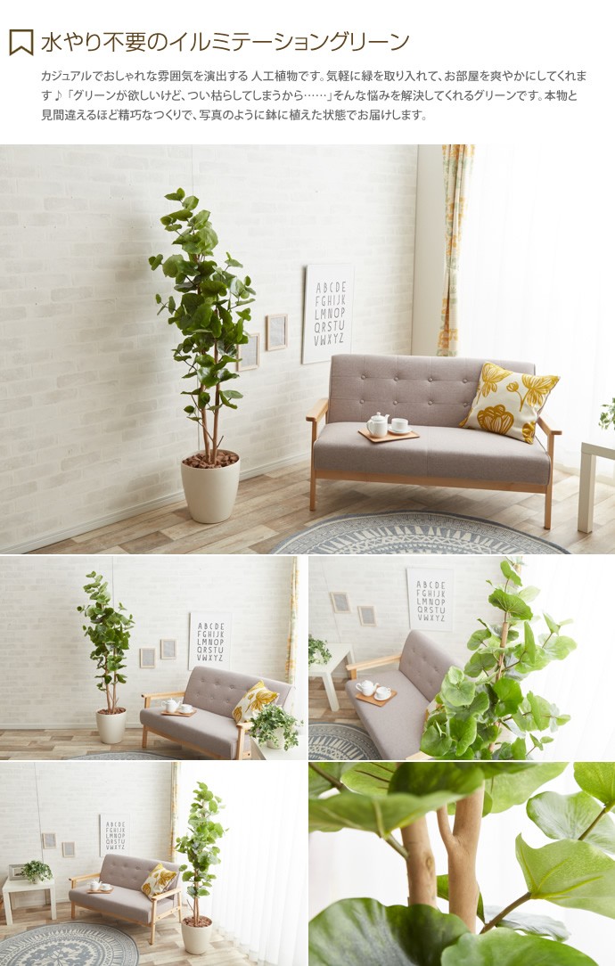 観葉植物 シーグレープ sea grape 室内 イミテーショングリーン