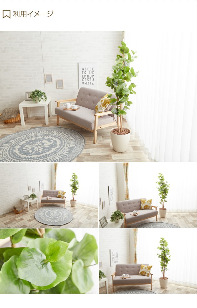 観葉植物 シーグレープ sea grape 室内 イミテーショングリーン