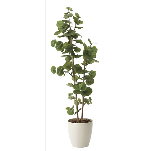 観葉植物 シーグレープ sea grape 室内 イミテーショングリーン