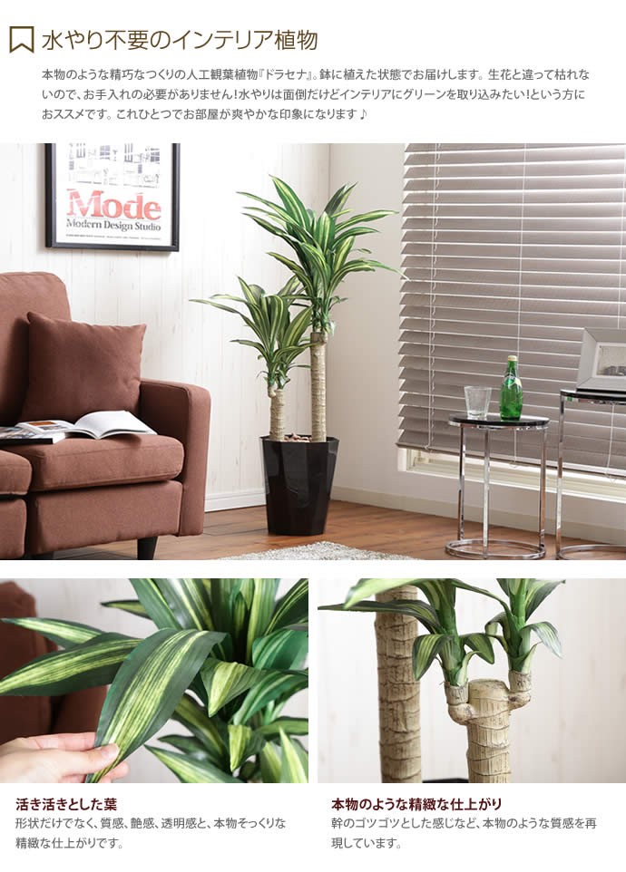 高さ1.1m Dracaena ドラセナ 人工植物 観葉植物 光触媒 水やり不要 お