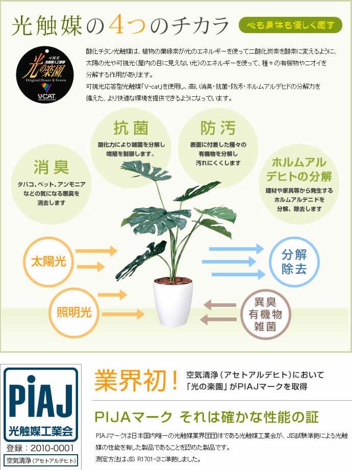 高さ1.1m Dracaena ドラセナ 人工植物 観葉植物 光触媒 水やり不要 お
