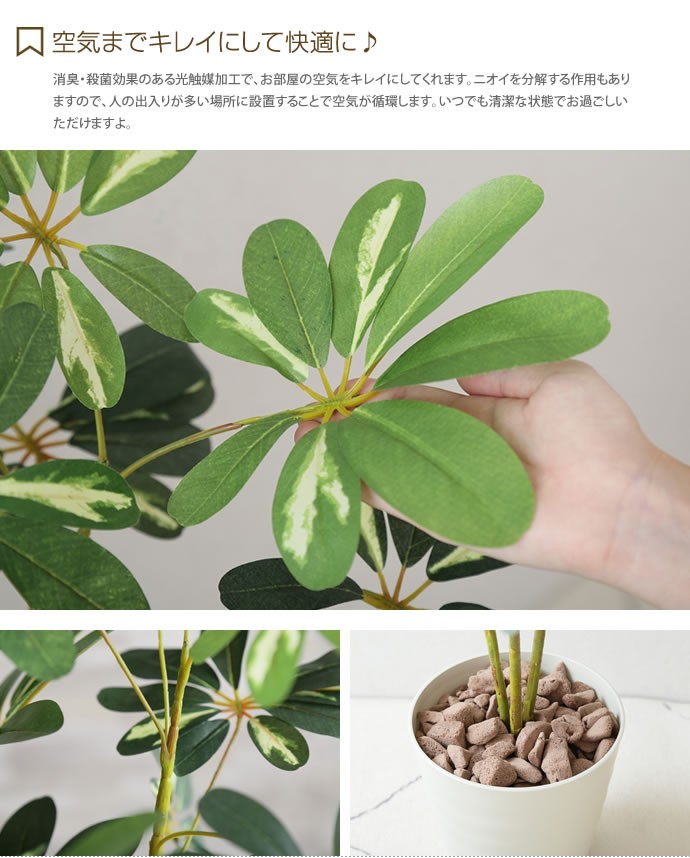 光触媒　人工観葉植物　フェイクグリーン　インテリオリーブ1.25 楽天市場】光触媒 フェイクグリーン 光の楽園 オリーブインテリア 人工
