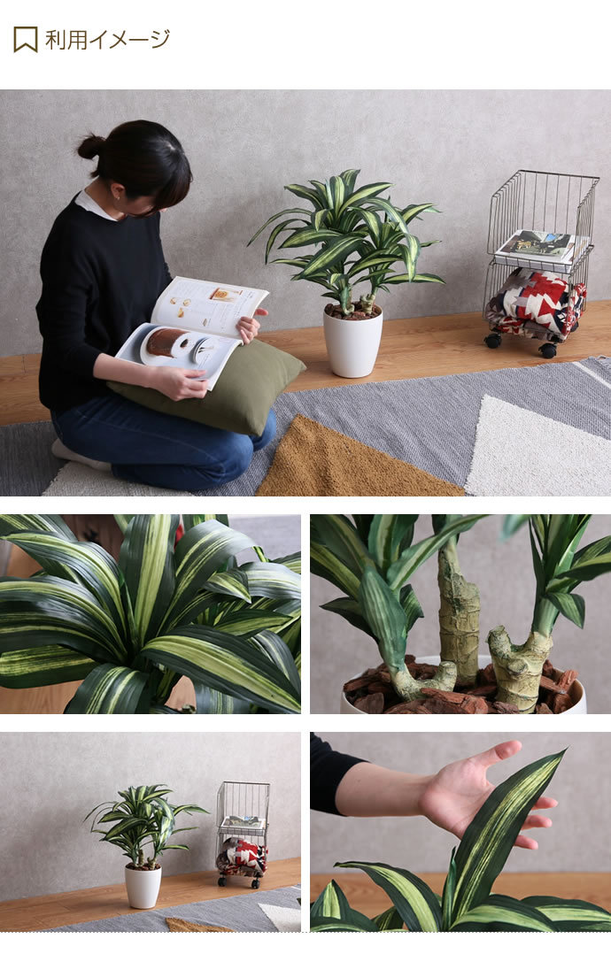 人工観葉植物 フェイクグリーン 人工植物 光触媒 インテリアグリーン