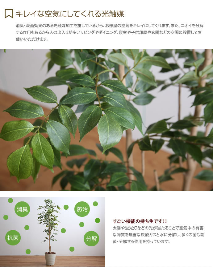 高さ1.3m 光触媒 フェイクグリーン 観葉植物 人工観葉植物 グリーン