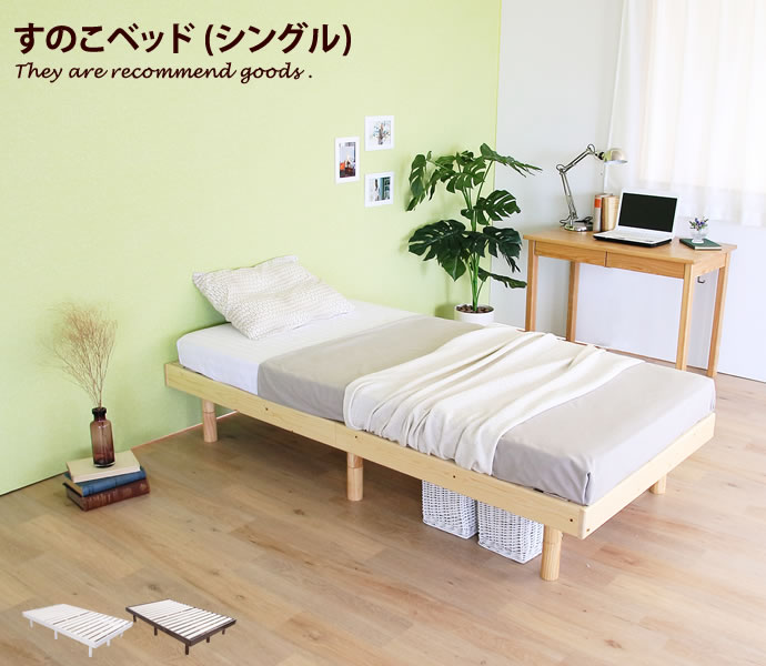 g106142-l-y.jpg