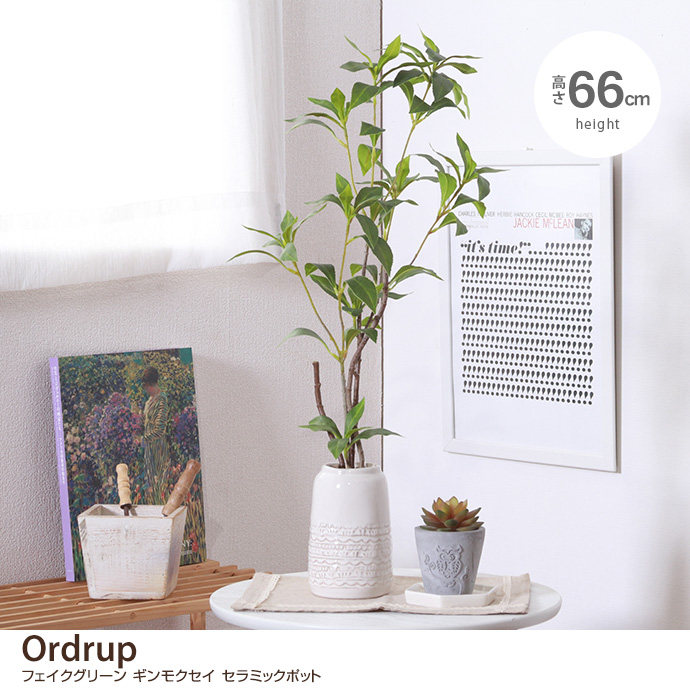 観葉植物 雑貨 インテリア フェイクグリーン パキラ インテリア