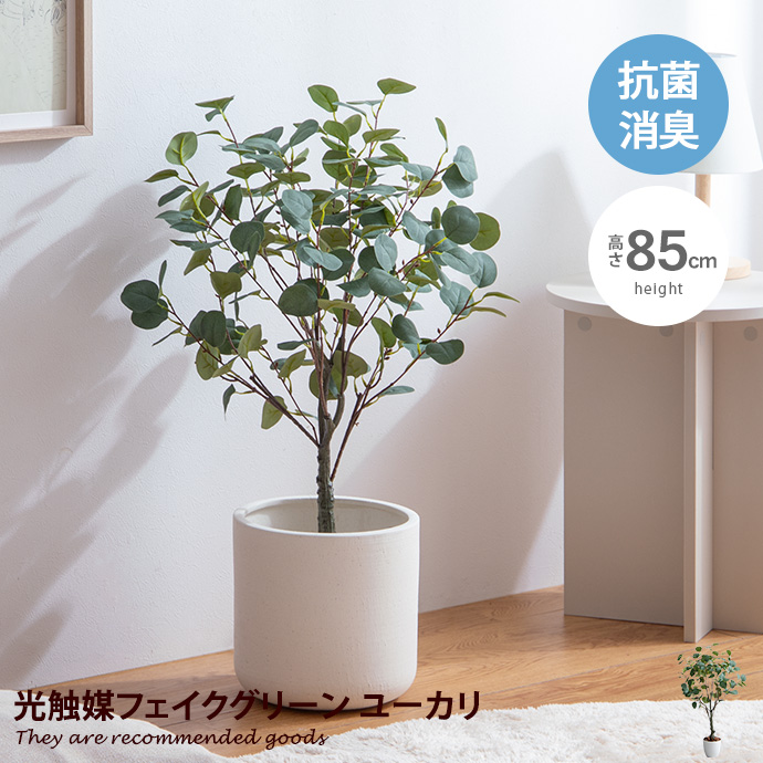 g162010-l-y.jpg