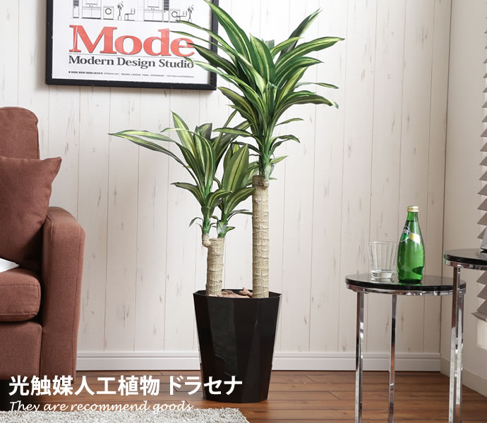 高さ1.1m Dracaena ドラセナ 人工植物 観葉植物 光触媒 水やり不要 お
