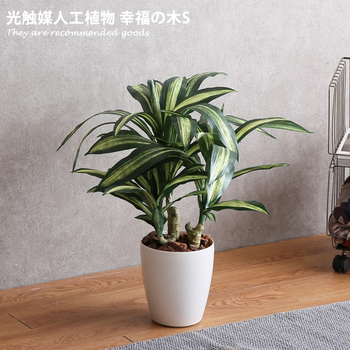 人工観葉植物 フェイクグリーン 人工植物 光触媒 インテリアグリーン