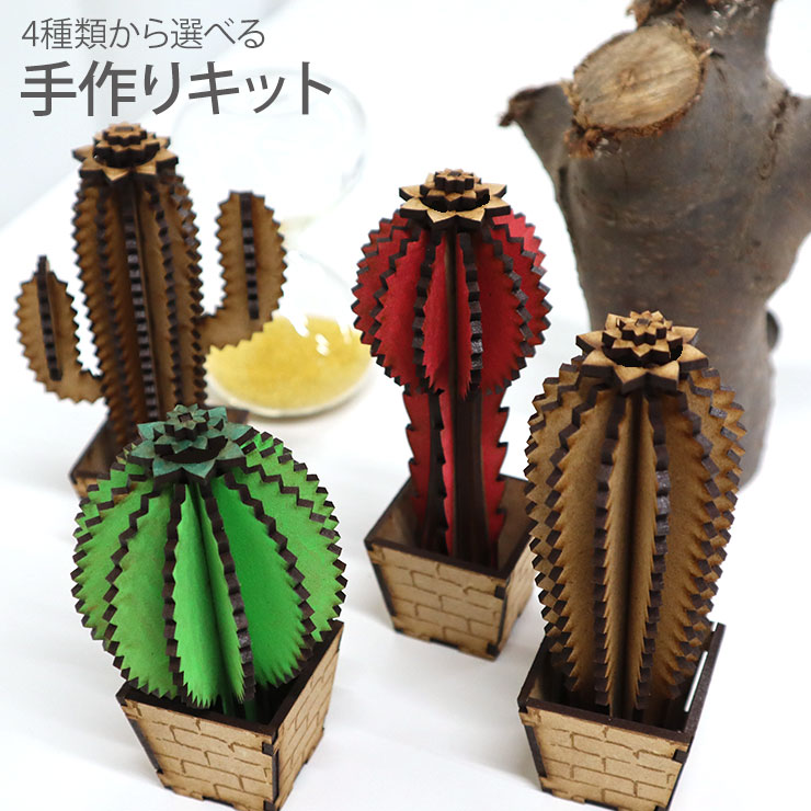 手作りキット オブジェ サボテン001 4種類から選べる 組み立て式