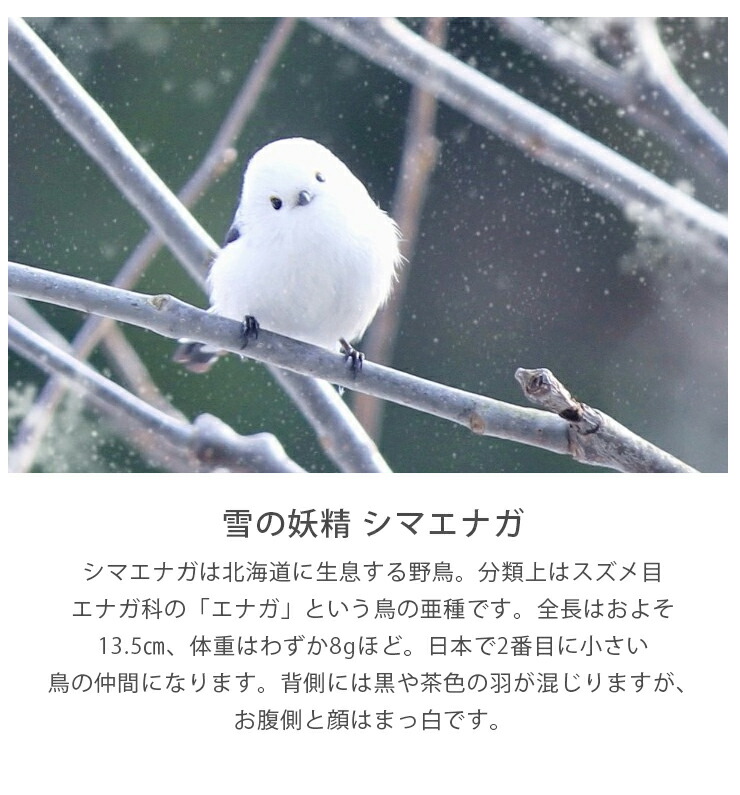 Amazon.co.jp: 名入れ文字入れ シマエナガ 木と小鳥 デザイン