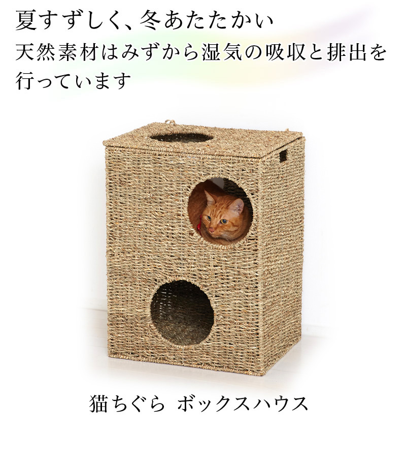 猫ちぐら 箱ボックス型 猫トンネル 猫ハウス 天然素材 猫つぐら カゴ籠 約幅45 ボックスハウス ペット用ハウス 箱ボックス型ハウス 猫用ハウス :  aku1006731 : 本棚&テレビ台&電話台のサンゴ - 通販 - Yahoo!ショッピング