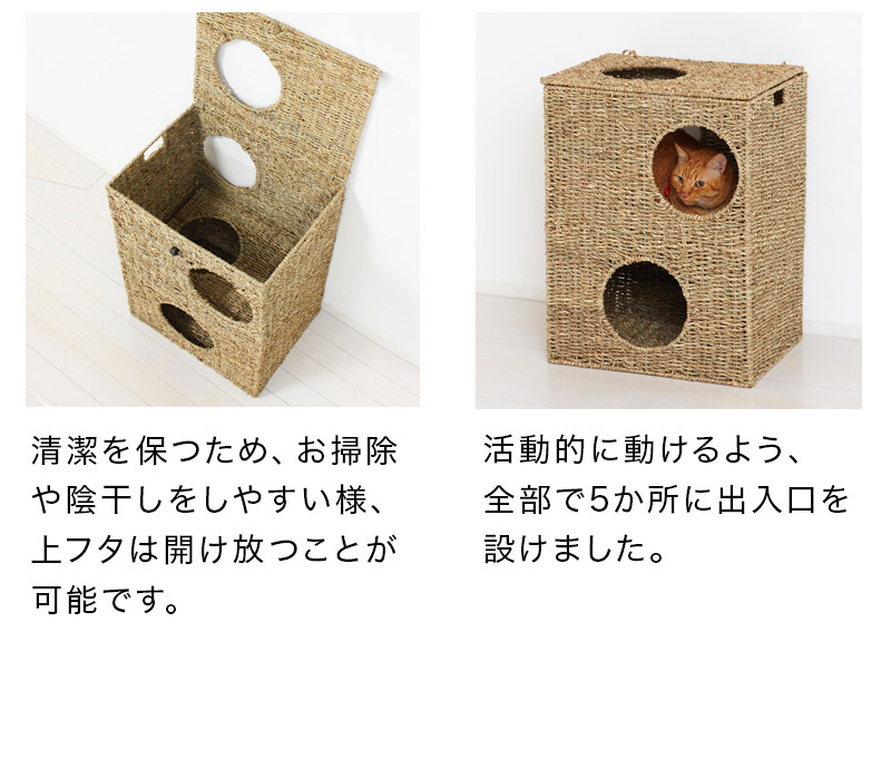お値下げ中】琴柱15個と猫足2個セット 天然素材