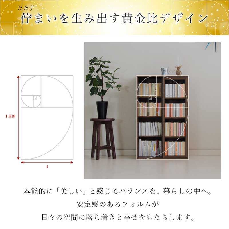本棚 スライド スリム 全段B6 幅60cm 奥深 シングルスライド 送料無料