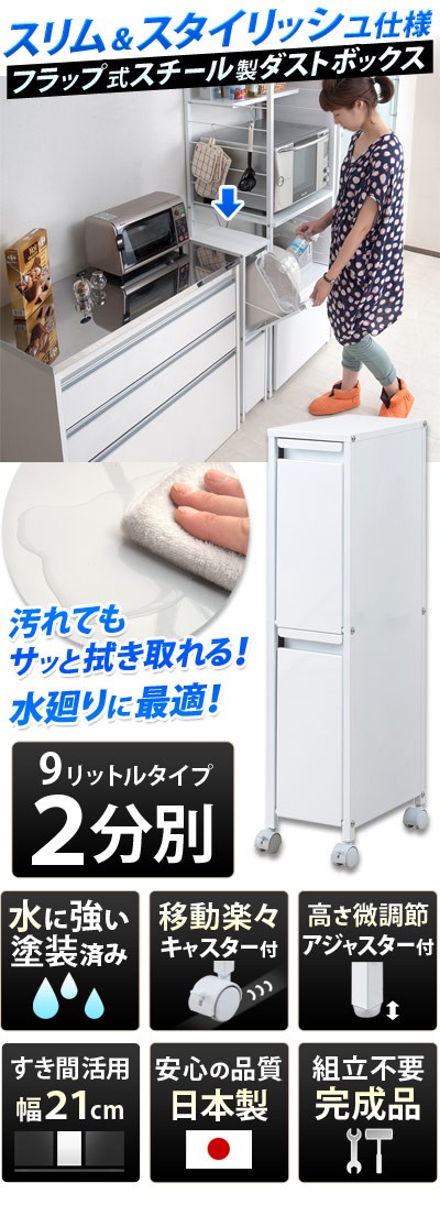 ダストボックス 9リットルタイプ2分別ごみ箱 スチール製ゴミ箱 約幅