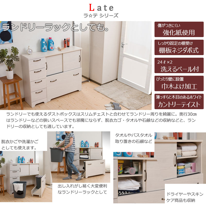 キッチン収納 白 カントリー風 ナチュラル ゴミ箱 2分別ダストボックス