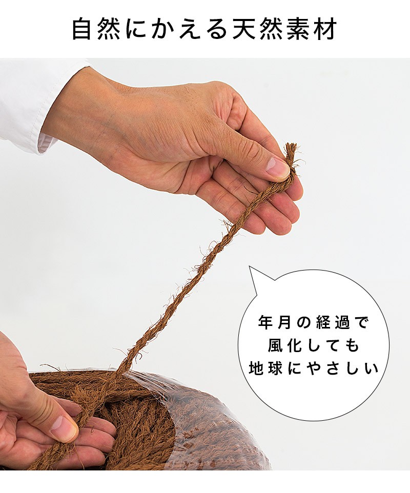 しゅろ縄 玉巻 3mm×500m 茶 入数6 6個入 6巻 ガーデニング 庭 農業