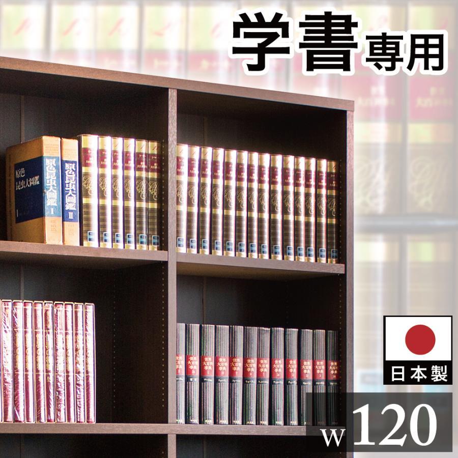 sb40229cp1.jpg