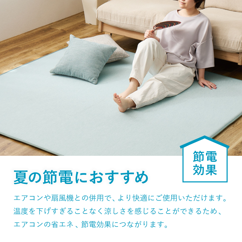 ラグ 冷感 カーペット 2畳 洗える 接触冷感...の詳細画像5