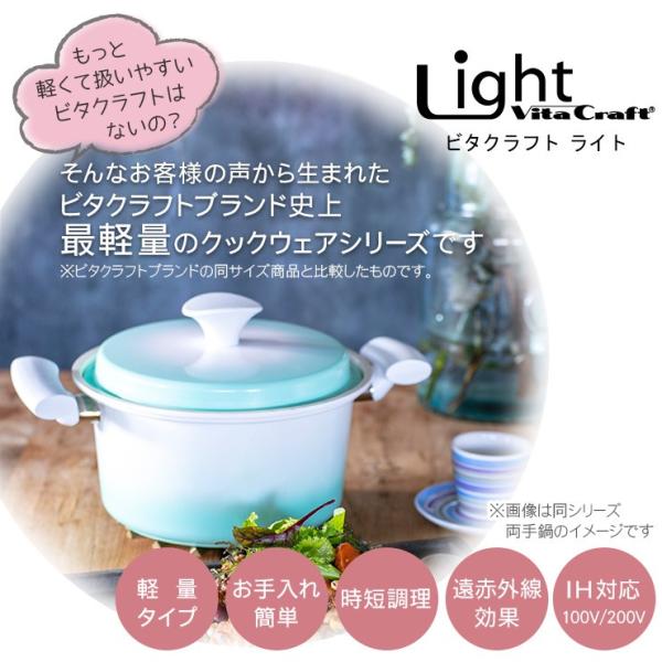 VitaCraft グリルパン セラミックコーティングライパン 4645 apide（アピデ） フライパン ビタクラフト IH 20cm 5層 コーティング