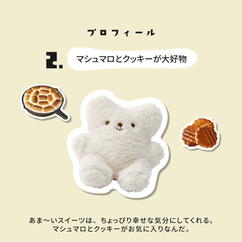 KeePer技研 ポリカコート パウチ5個 付属品(クロスx1 スポンジ