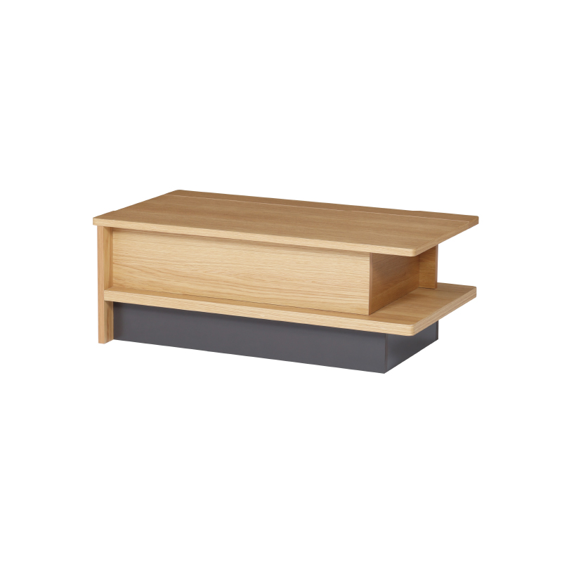 NIPPONAIRE センターテーブル CT 幅100cm ルボン ニッポネア 関家具
