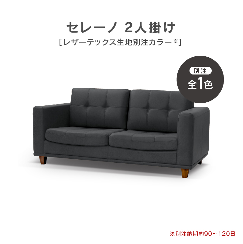 関家具 公式店 【別注用】WEB限定モデル ソファー 2人掛け レザー 