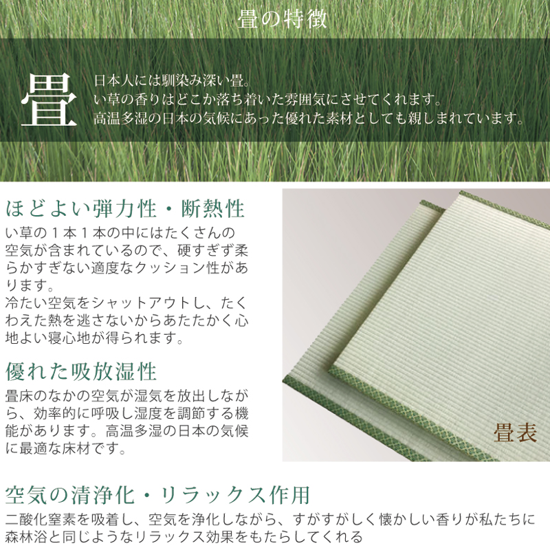 床面40cm ラージ  畳 国産畳セミダブル フラットパネル 日本製 ガス圧 縦  関東地区組立込 山吹 やまぶき ＃13 | ブランド登録なし | 06