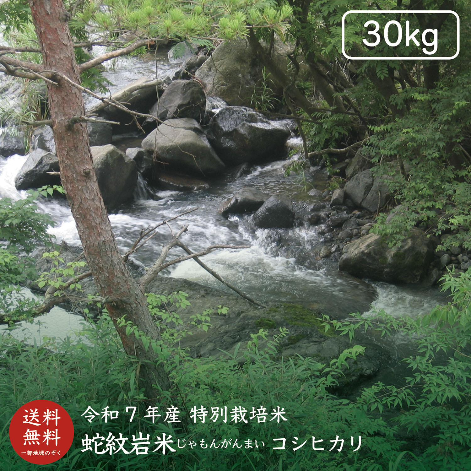 コシヒカリ 【令和7年産】【送料無料】蛇紋岩米玄米30kg 【コシヒカリ 