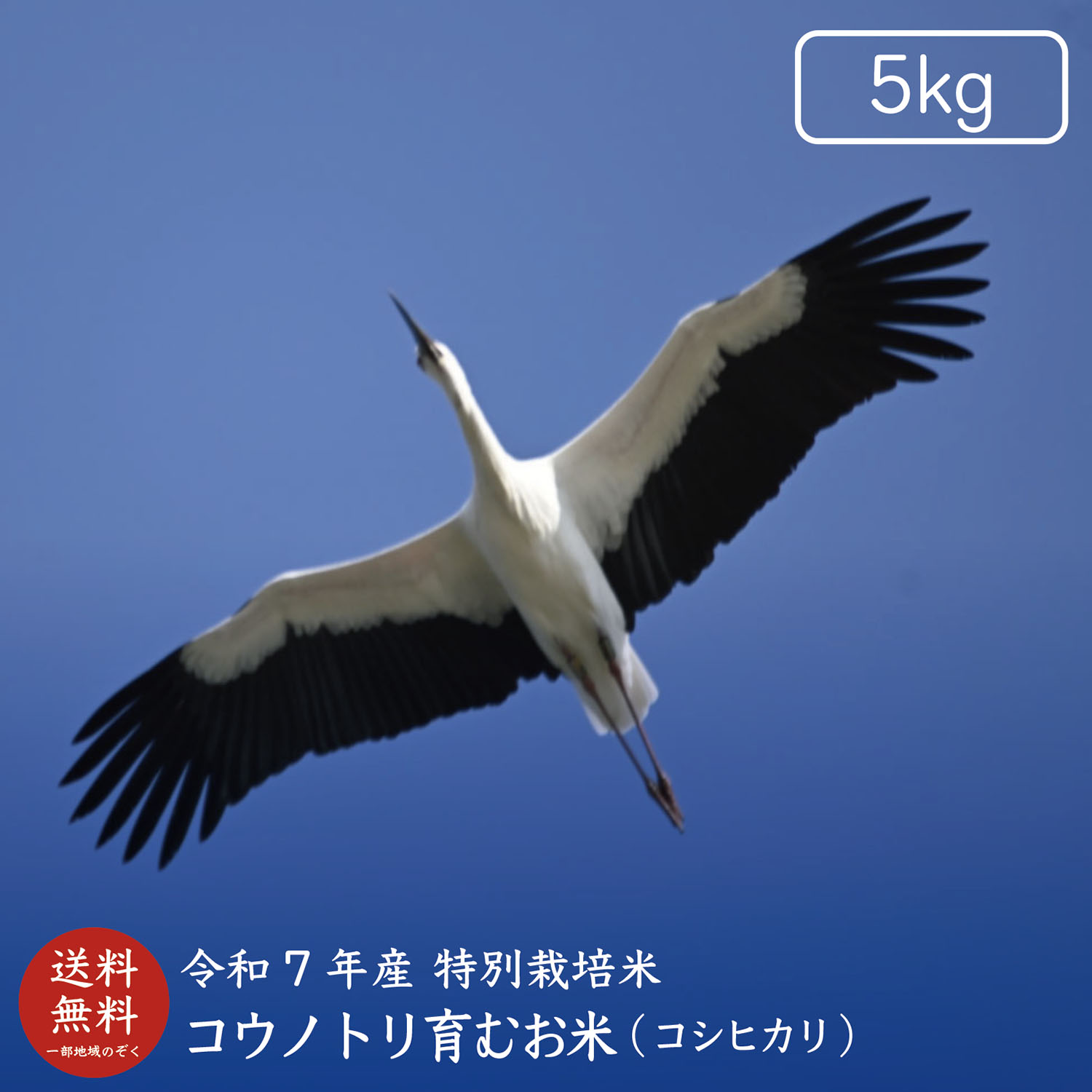 コシヒカリ 【令和7年産】コウノトリ育むお米5kg【送料無料