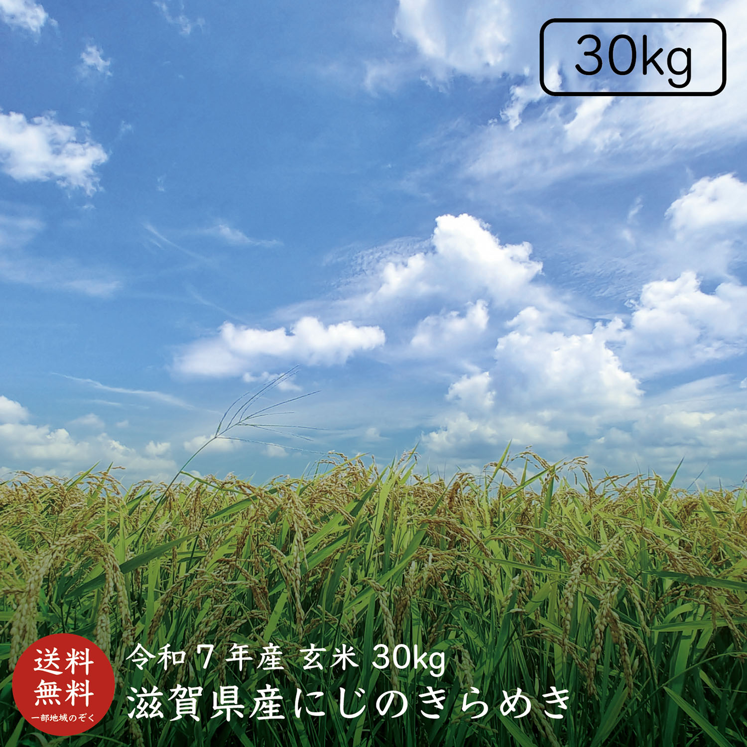 令和7年産】【送料無料】滋賀県産にじのきらめき玄米30kg【精米料無料