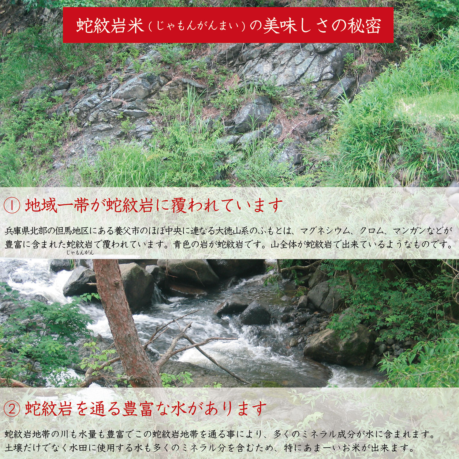 コシヒカリ 【令和7年産】【送料無料】蛇紋岩米玄米30kg 【コシヒカリ 