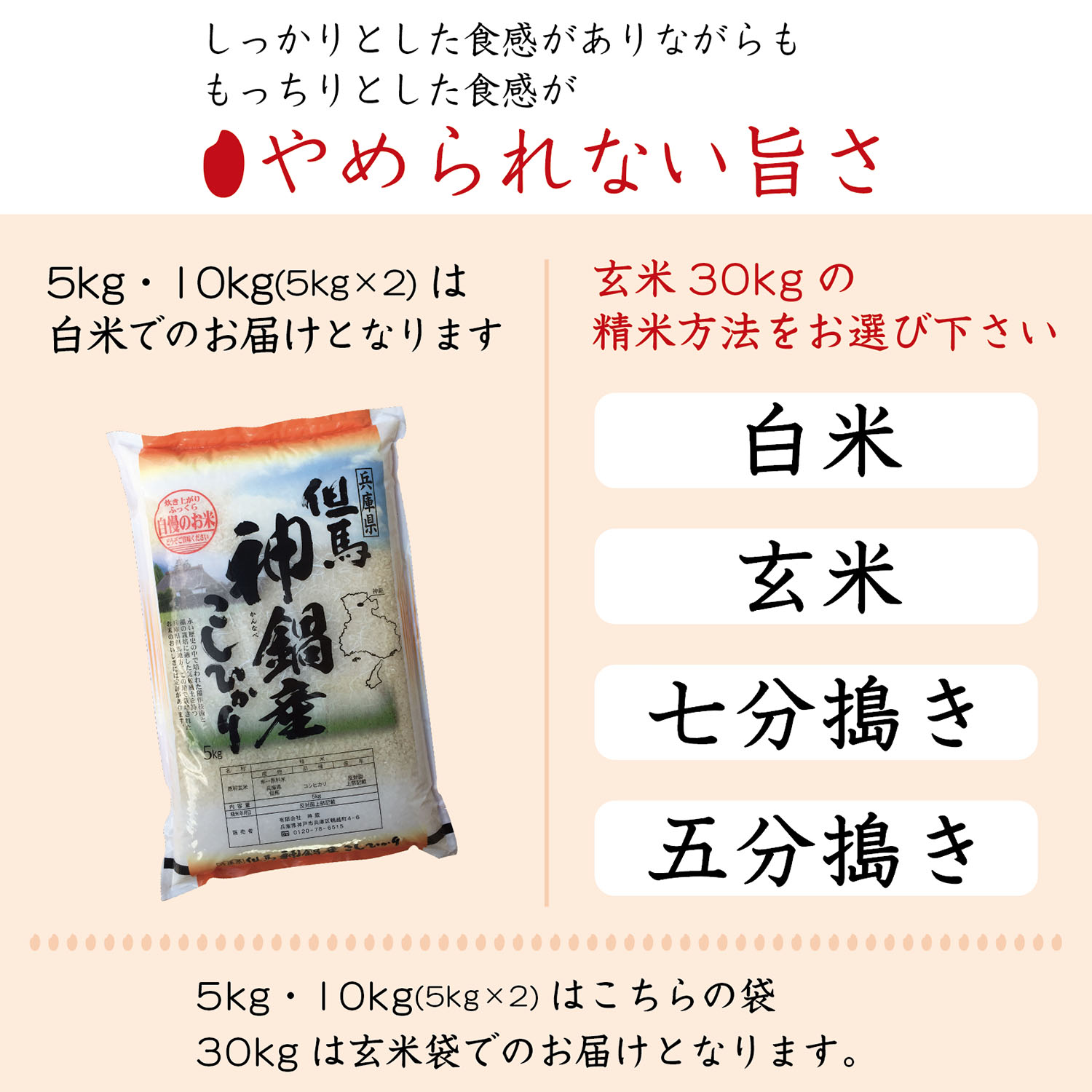 令和5年産】兵庫県但馬神鍋コシヒカリ玄米30kg 【送料無料】【こしひかり】【精米料無料】 : tajimakoshi30 : お米の専門店 神蔵屋  YAHOO店 - 通販 - Yahoo!ショッピング